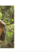 Image for article titled 16 Searches You Can Run on Wolfram Alpha That Don't Work on Google
